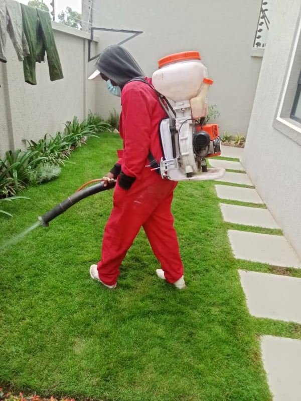 fumigation services 